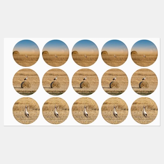 Ein weißer Storch Etiketten (Blatt)