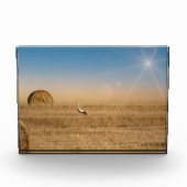 Ein weißer Storch Fotoblock (Vorderseite)
