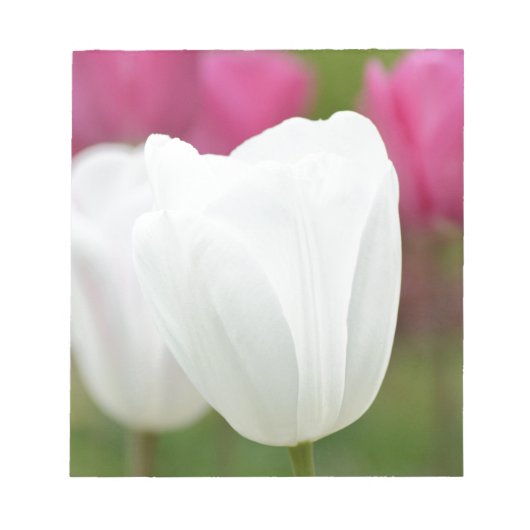 Ein weißer Tulip Notizblock (Vorderseite)