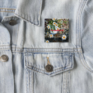 Ein weißer und blauer Topf wilder Molsen auf einem Button