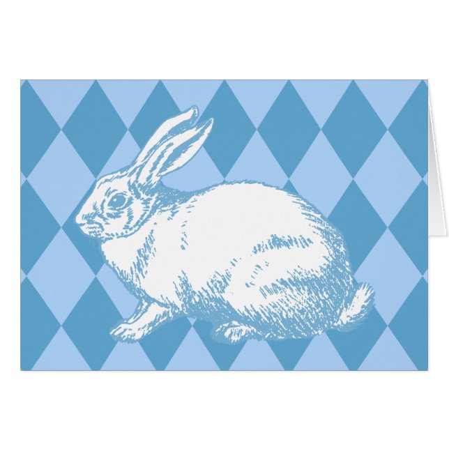 Ein weißes Kaninchen (Vorderseite (Horizontal))