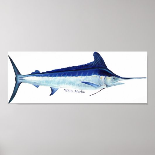 Ein weißes Marlin-Poster Poster (Vorne)