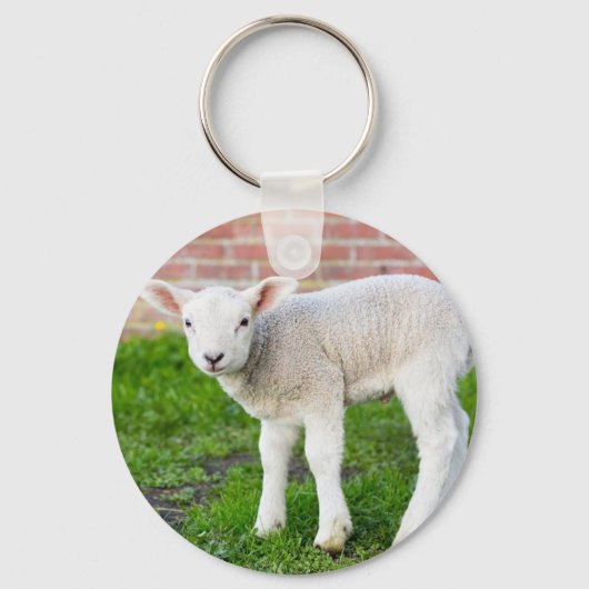 Ein weißes, neugeborenes Lämmchen, stehend in grün Schlüsselanhänger (Vorderseite)