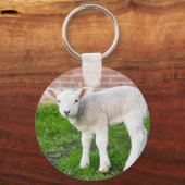 Ein weißes, neugeborenes Lämmchen, stehend in grün Schlüsselanhänger (Vorderseite)