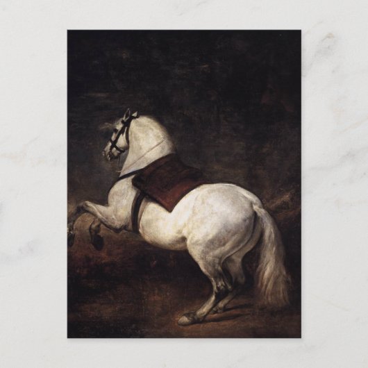 Ein weißes Pferd von Diego Velazquez Postkarte (Vorderseite)