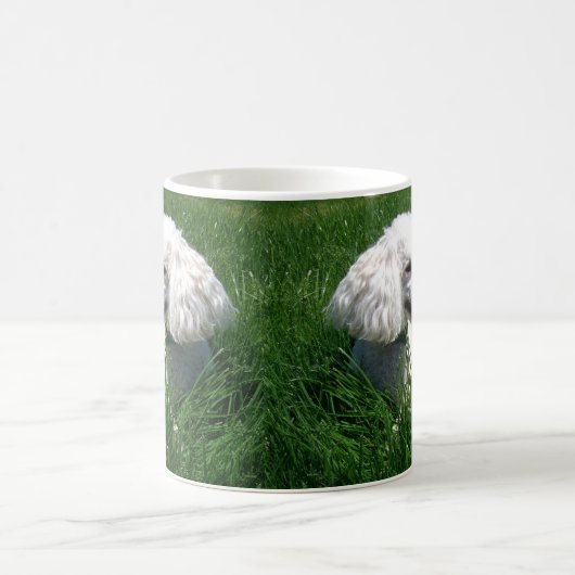 Ein weißes Poodle, das sich in üppig grünem Gras r Kaffeetasse (Mittel)