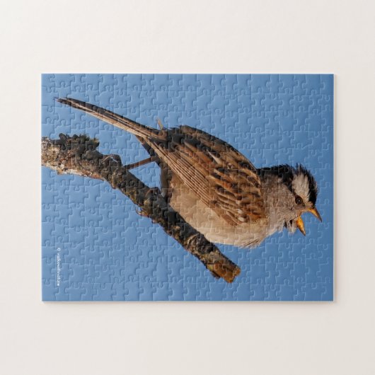 Ein weißgekrönter Funken singt zur Morgensonne Puzzle (Horizontal)