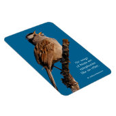 Ein weißgekrönter Sparrow singt zur Sonne Magnet (Rechte Seite)