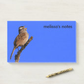 Ein weißgekrönter Sparrow singt zur Sonne Post-it Klebezettel (Auf Schreibtisch)