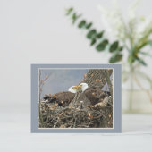 Ein Weißkopfseeadler-Familien-Porträt Postkarte (Stehend Vorderseite)