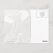 Ein Weißkopfseeadler-Familien-Porträt Postkarte (Rückseite)