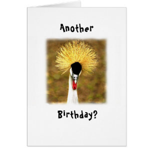 Ein weiterer Geburtstag? Wow! Karte für Senioren