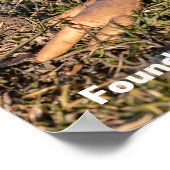 Ein weiterer Körper im Park Poster (Ecke)