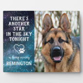 Ein weiterer Stern im Himmel - Memorial für den Ha Fotoplatte (Vorderseite)