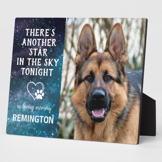 Ein weiterer Stern im Himmel - Memorial für den Ha Fotoplatte (Seite)