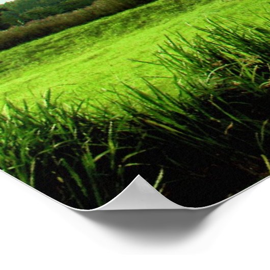 ein weiterer Tag Poster (Ecke)