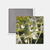 Ein weiteres Cooles Pflanze-Magnet Magnet (Vorderseite/Rückseite)