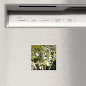 Ein weiteres Cooles Pflanze-Magnet Magnet (In Situ (Geschirrspüler))