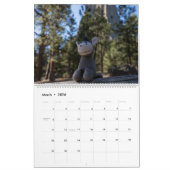 Ein weiteres Jahr Steve Burro Kalender (Mär 2026)