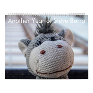 Ein weiteres Jahr Steve Burro Kalender
