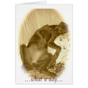 … ein welcher Tag…