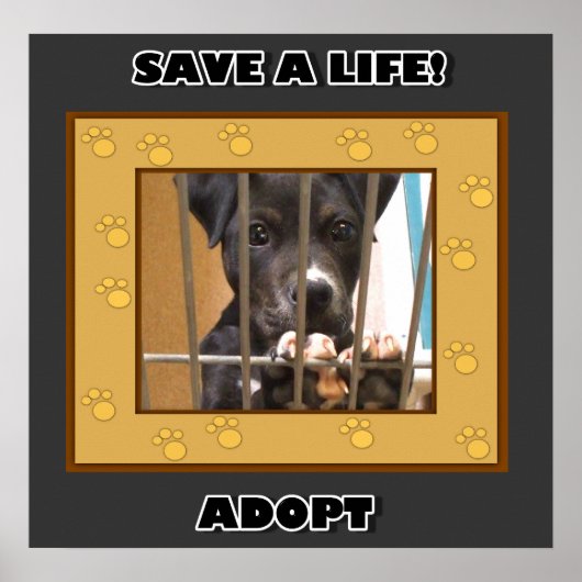 Ein Welpenposter adoptiert Poster (Vorne)