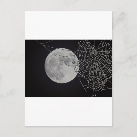 Ein weltweites Web Postkarte (Vorderseite)