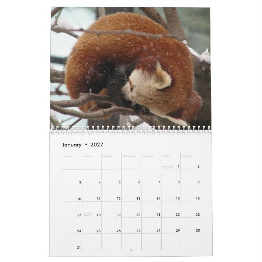 Ein wenig-Saisonkalender Kalender (Jan 2027)