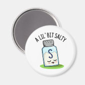 Ein wenig salziger Salzwasser-Salt-Shaker-Pub Magnet (Vorderseite/Rückseite)