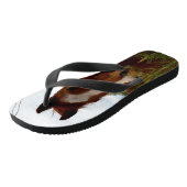 "Ein Whiff der Natur: Ein Kastanienpferd und Banks Badesandalen (Schrägansicht)