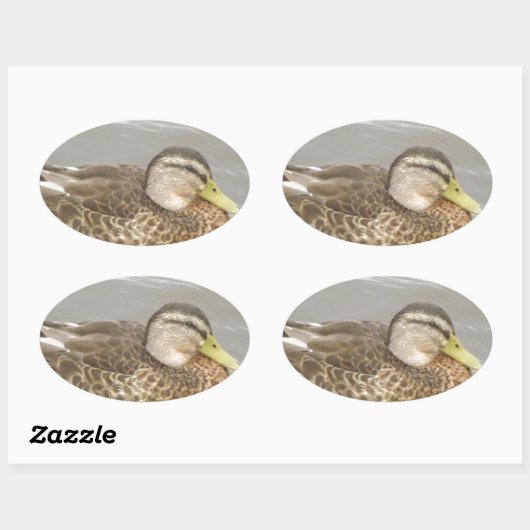 Ein Wild Duck Schwimmen Ovaler Aufkleber (Blatt)