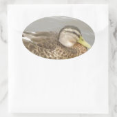 Ein Wild Duck Schwimmen Ovaler Aufkleber (Tasche)