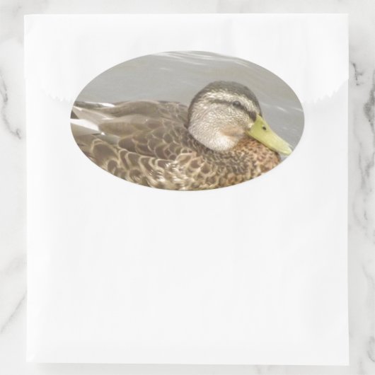 Ein Wild Duck Schwimmen Ovaler Aufkleber (Tasche)