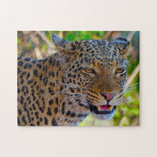 Ein wilder afrikanischer Leopard. Puzzle