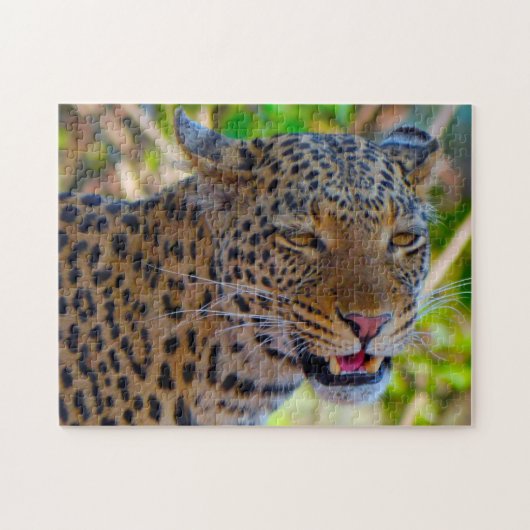 Ein wilder afrikanischer Leopard. Puzzle (Horizontal)
