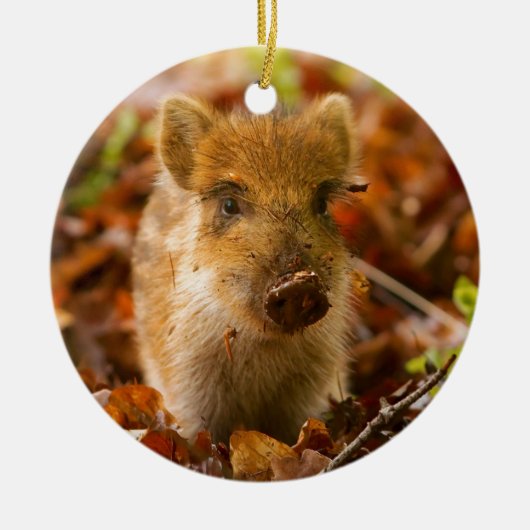 Ein wilder Eber-FerkelSus Scrofa im Herbst-Blätter Keramik Ornament (Vorne)