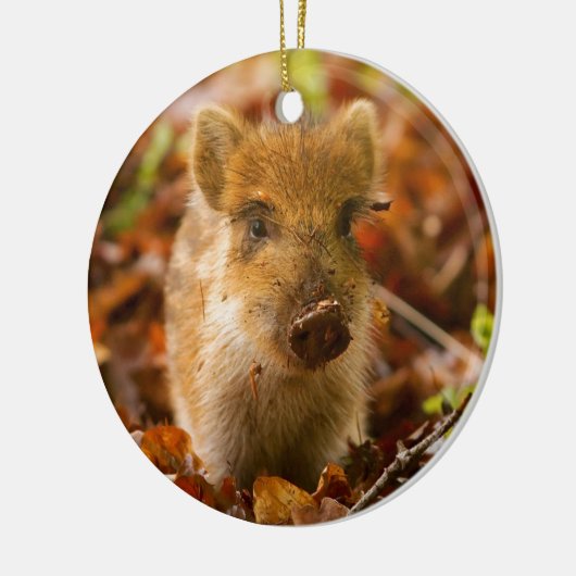 Ein wilder Eber-FerkelSus Scrofa im Herbst-Blätter Keramik Ornament (Links)