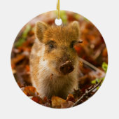 Ein wilder Eber-FerkelSus Scrofa im Herbst-Blätter Keramik Ornament (Hinten)