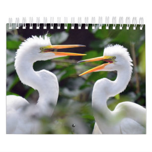 Ein wilder Kalender mit Fotos wild lebender Tiere