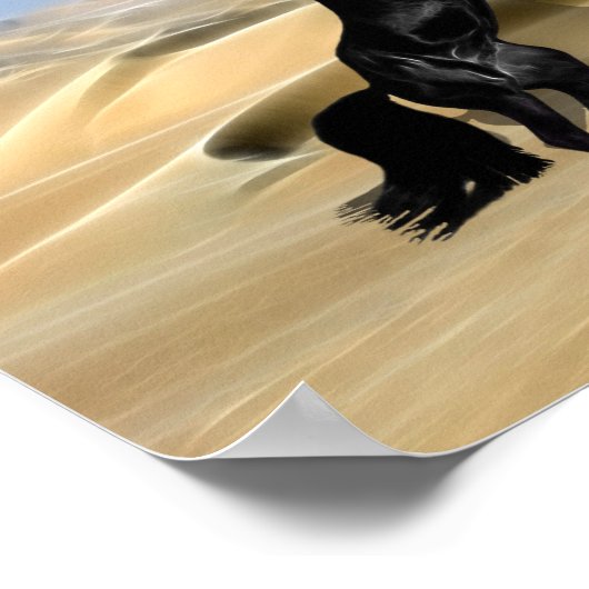 Ein wilder schwarzer Hengst Poster (Ecke)