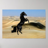 Ein wilder schwarzer Hengst Poster (Vorne)