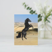 Ein wilder schwarzer Hengst Postkarte (Stehend Vorderseite)