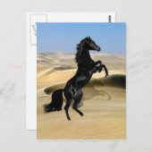 Ein wilder schwarzer Hengst Postkarte (Vorne/Hinten)