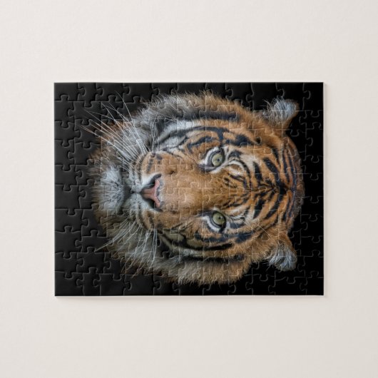 Ein wildes Bengalisches Tigergesicht Puzzle (Horizontal)