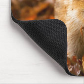 Ein Wildschwein - Scrofa im Herbst Mousepad (Ecke)