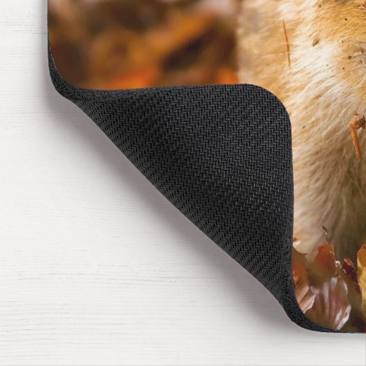 Ein Wildschwein - Scrofa im Herbst Mousepad (Ecke)