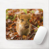 Ein Wildschwein - Scrofa im Herbst Mousepad (Mit Mouse)