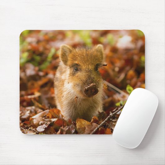 Ein Wildschwein - Scrofa im Herbst Mousepad (Mit Mouse)