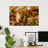 Ein Wildschwein - Scrofa im Herbst Poster (Heimbüro)