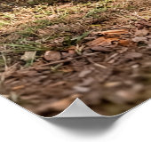 Ein Wiltshire Thatcher 1892 Poster (Ecke)